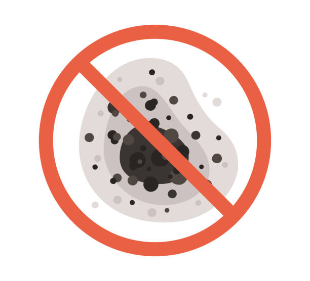 Best Forensic Mold Investigation  in Boonville, CA